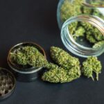 cannabis-flower-buds-and-grinder-2022-08-01-05-14-10-utc