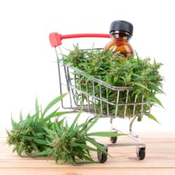 Helpful Tips When Ordering From A Weed Delivery Service