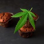 chocolate-muffin-with-cannabis-leaf-2021-09-04-05-00-39-utc