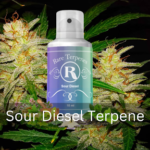 How To Buy The Sour Diesel Terpene From A Store?
