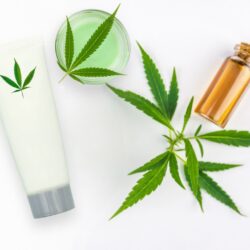 The Rise of Family-Owned CBD Companies