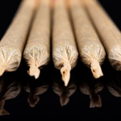 The Profit Potential of Prerolls for Cannabis Licensees