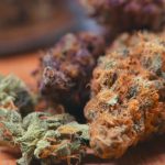 4k video footage of dried heads of marijuana on a table